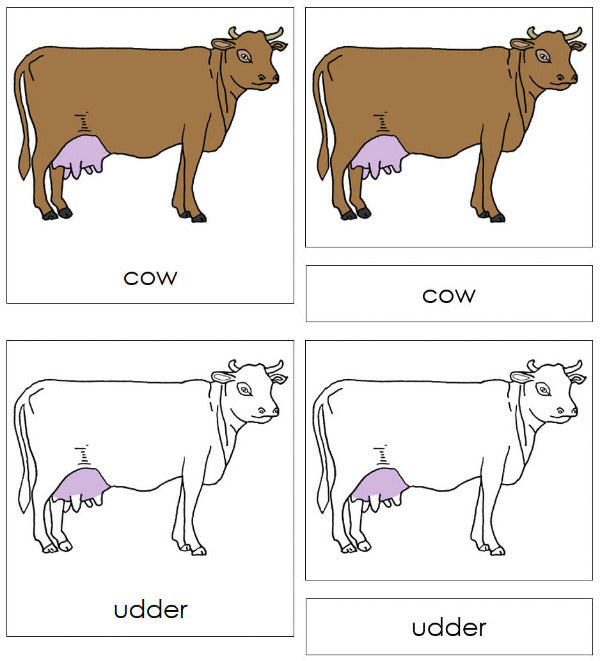 Parts of a Cow 3-Part Nomenclature Cards - Montessori Print Shop Digital Download