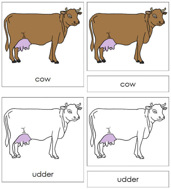 Parts of a Cow 3-Part Nomenclature Cards - Montessori Print Shop Digital Download