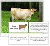 Cow Fast Facts & Pictures - Montessori Print Shop