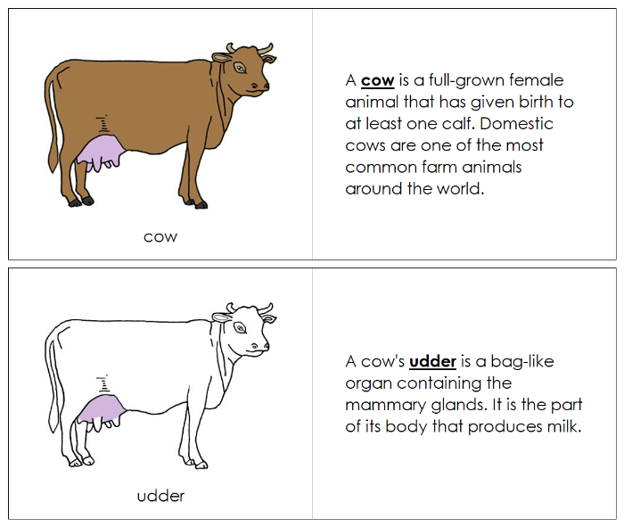 Parts of a Cow Nomenclature Book - Montessori Print Shop Digital Download