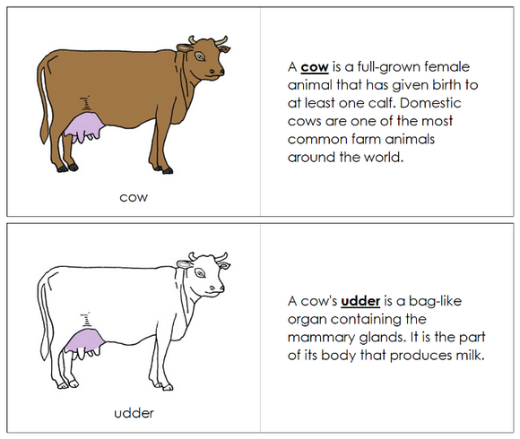 Parts of a Cow Nomenclature Book - Montessori Print Shop Digital Download