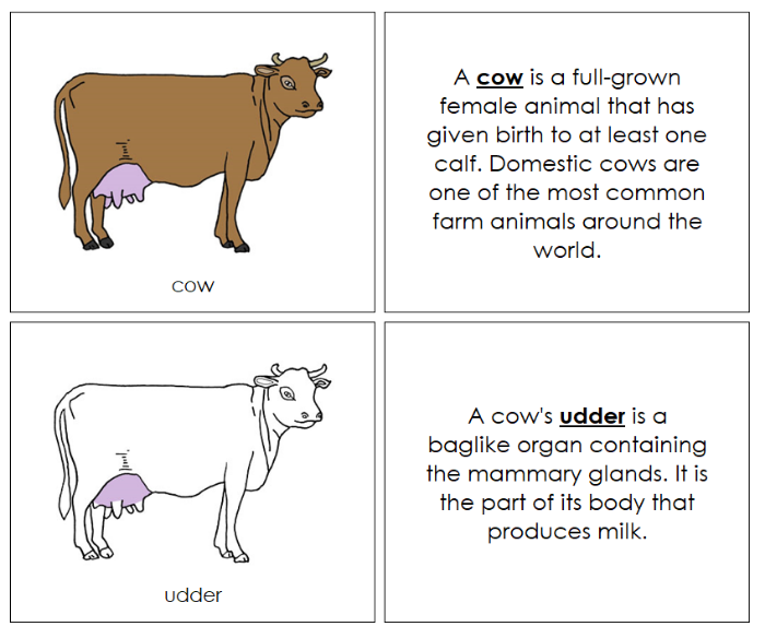 Parts of a Cow Nomenclature Book - Montessori Print Shop Digital Download