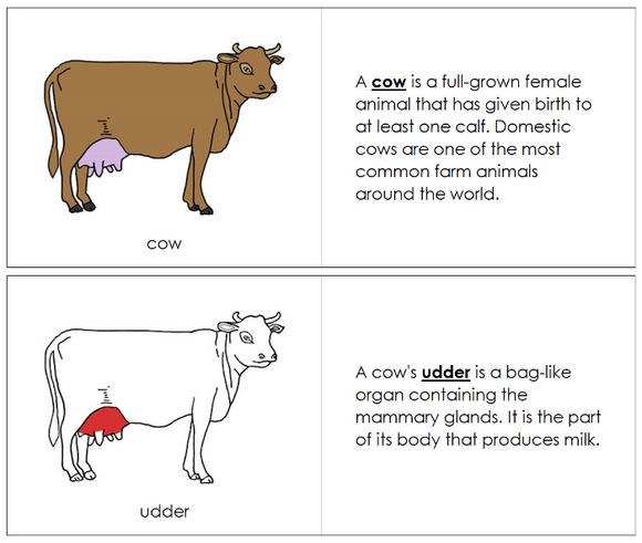 Cow Nomenclature Book (red) - Montessori Print Shop Digital Download