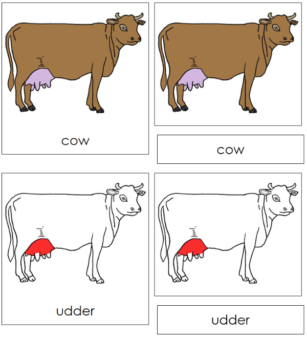 Parts of a Cow 3-Part Nomenclature Cards (red) - Montessori Print Shop Digital Download