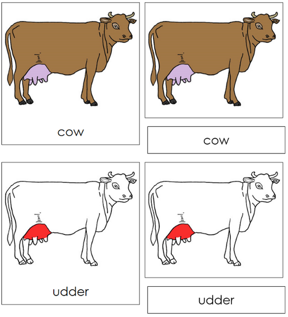 Parts of a Cow Nomenclature Cards (red) - Montessori Print Shop Digital Download
