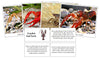 Crayfish Fast Facts & Pictures - Montessori Print Shop