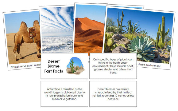 Desert Biome Fast Facts and Pictures - Montessori Print Shop Digital Download