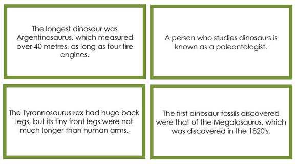 Dinosaur Fun Facts (color borders) - Montessori Print Shop