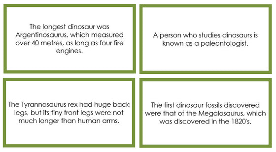 Dinosaur Fun Facts (color borders) - Montessori Print Shop