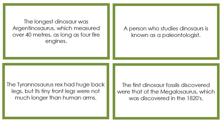 Dinosaur Fun Facts (color borders) - Montessori Print Shop Digital Download