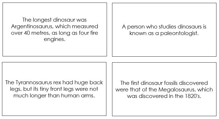 Dinosaur Fun Facts - Montessori Print Shop Digital Download
