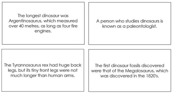 Dinosaur Fun Facts - Montessori Print Shop