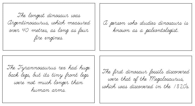 Dinosaur Fun Facts (cursive) - Montessori Print Shop Digital Download Science Cards