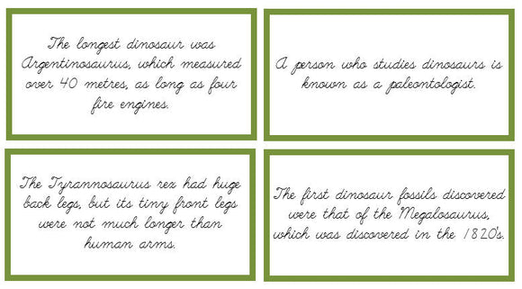 Dinosaur Fun Facts (color borders) Cursive - Montessori Print Shop