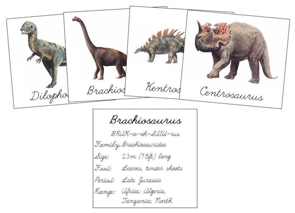 Dinosaurs Set 1 (cursive) - Montessori Print Shop Digital Download