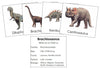 Dinosaurs Set 1 - Montessori Print Shop Science Cards