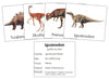 Dinosaurs Set 2 - Montessori Print Shop Science Cards