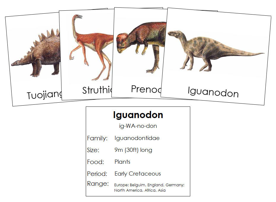 Dinosaurs Set 2 - Montessori Print Shop Digital Download Science Cards