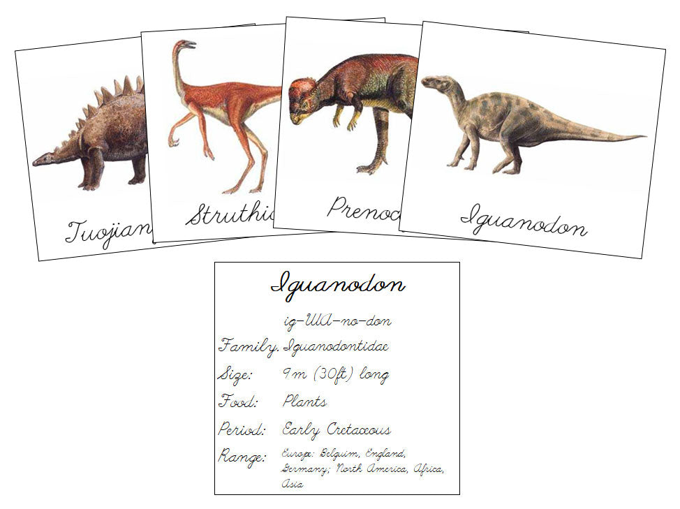 Dinosaurs Set 2 (cursive) - Montessori Print Shop Digital Download