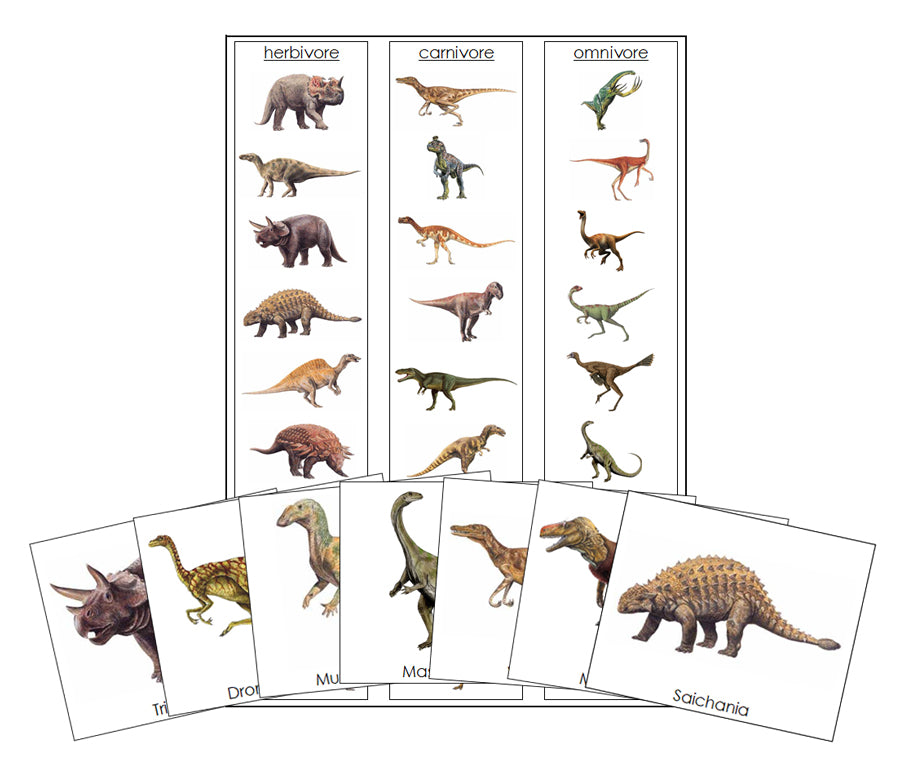 Printable Dinosaur Sorting (Herbivores, Carnivores & Omnivores) - Montessori Print Shop Digital Download