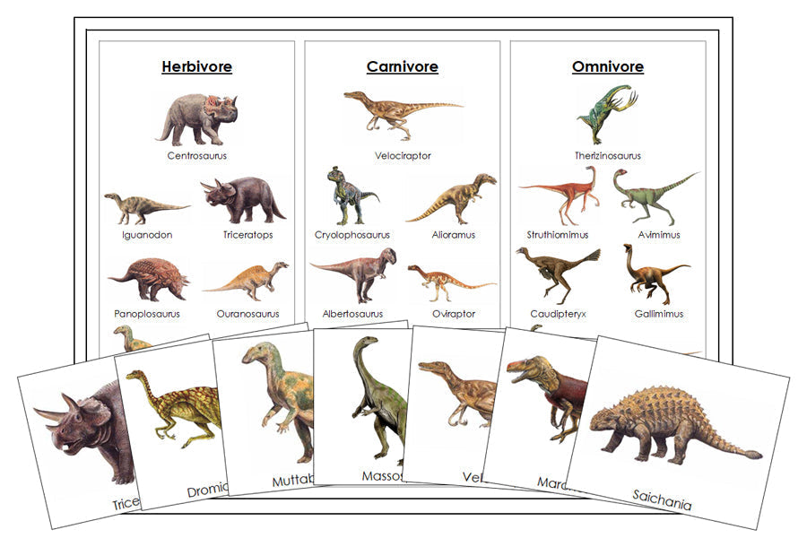 Printable Dinosaur Sorting (Herbivores, Carnivores & Omnivores) - Montessori Print Shop Digital Download