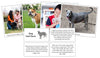 Dog Fast Facts & Pictures - Montessori Print Shop