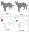 Dog Nomenclature 3-Part Cards (red) - Montessori Print Shop