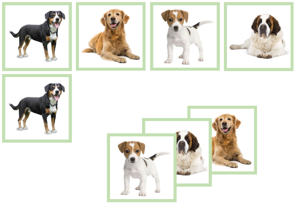 dog matching cards - Montessori Print Shop Digital Download