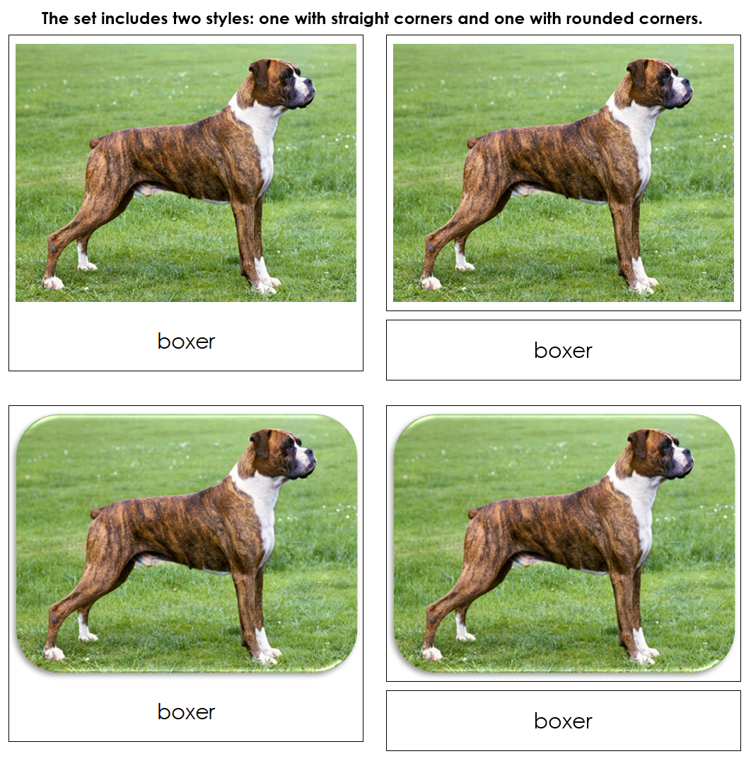 Dogs Safari Toob Cards - Montessori Print Shop Digital Download