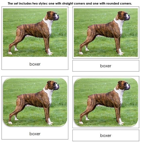 Dogs Safari Toob Cards - Montessori Print Shop Digital Download