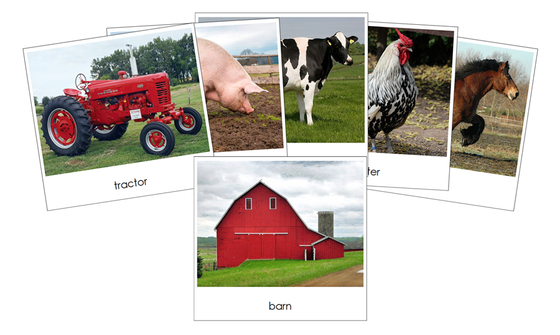 Down On The Farm - Safari Toob Cards - Montessori Print Shop Digital Download