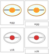 Egg Nomenclature 3-Part Cards (red) - Montessori Print Shop