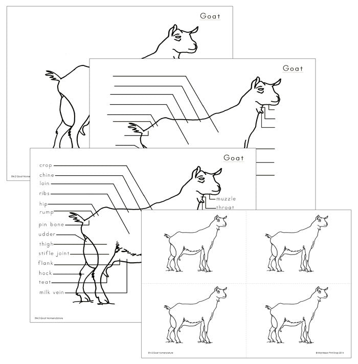 Elementary Goat Nomenclature - Montessori Print Shop Digital Download