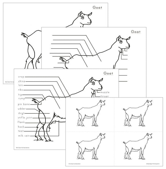 Elementary Goat Nomenclature - Montessori Print Shop