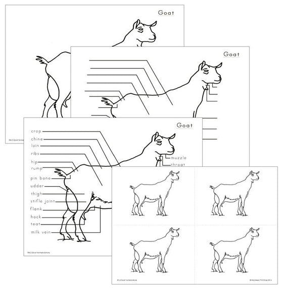 Elementary Goat Nomenclature - Montessori Print Shop