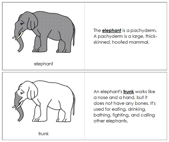 Parts of an Elephant Nomenclature Book - Montessori Print Shop Digital Download