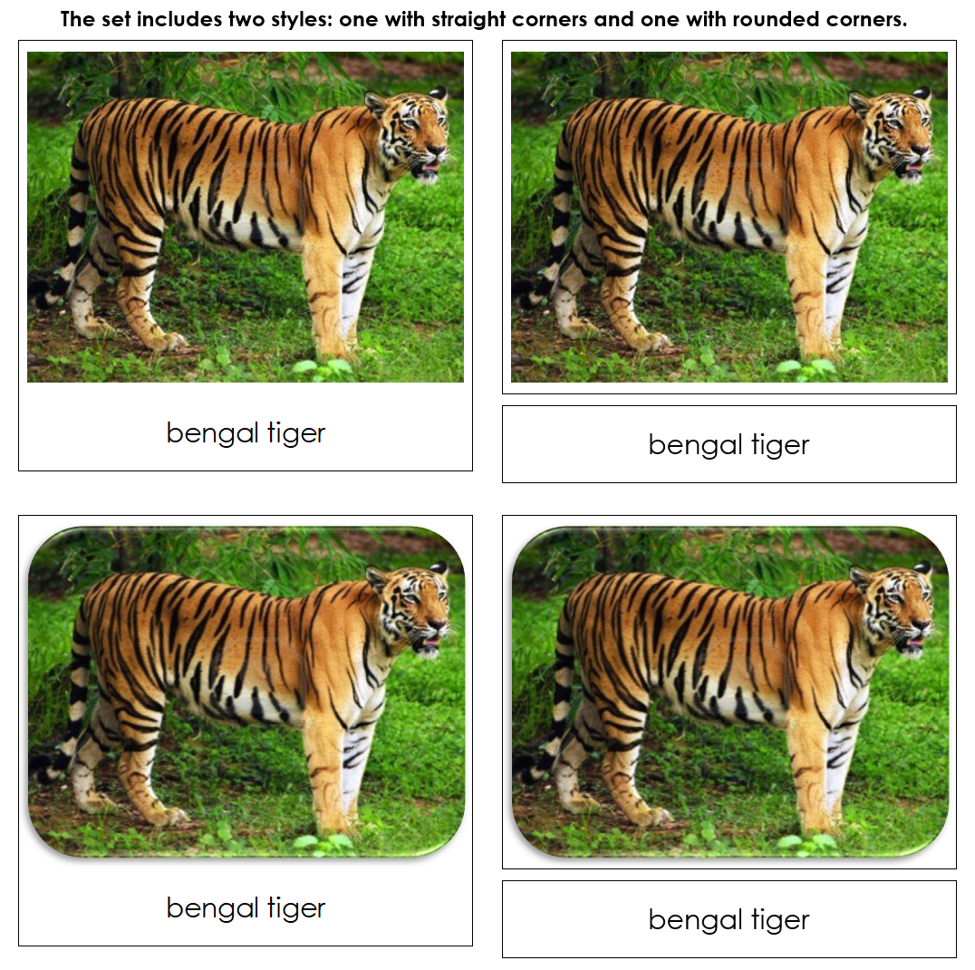 Endangered Species (Land) - Safari Toob Cards - Montessori Print Shop Digital Download