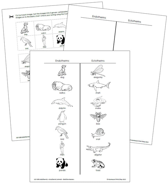 Endothermic or Ectothermic Animals (blackline masters) - Montessori Print Shop