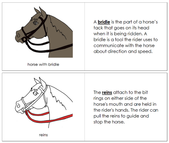 Parts of an English Bridle Nomenclature Book (red) - Montessori Print Shop Digital Download