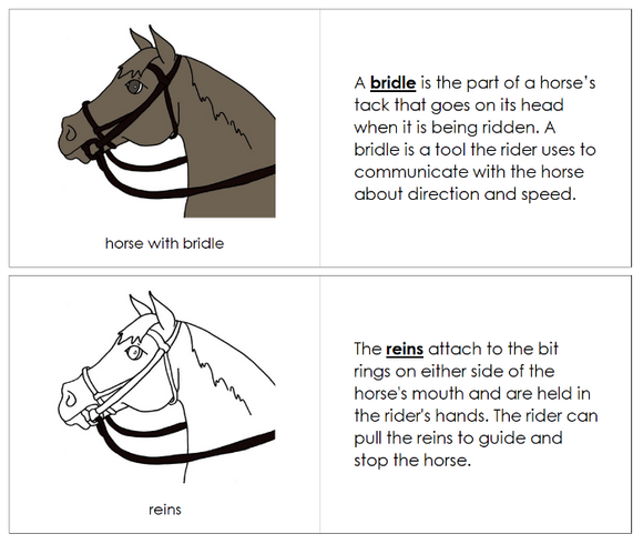English Bridle Nomenclature Book - Montessori Print Shop Digital Download