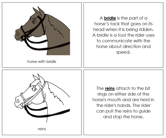 English Bridle Nomenclature Book - Montessori Print Shop