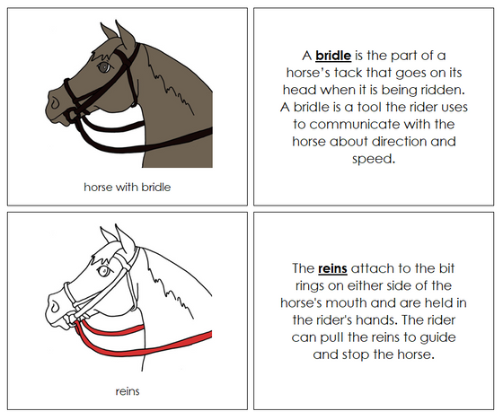 Parts of an English Bridle Nomenclature Book (red) - Montessori Print Shop