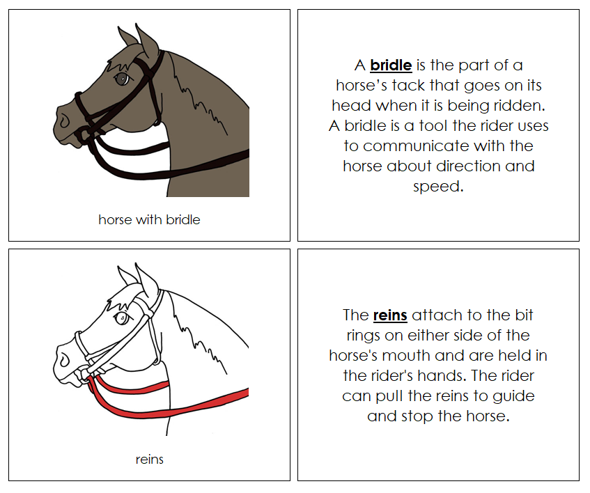 Parts of an English Bridle Nomenclature Book (red) - Montessori Print Shop