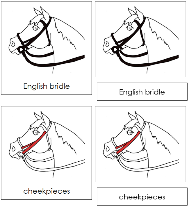 Parts of an English Bridle Nomenclature 3-Part Cards (red) - Montessori Print Shop Digital Download