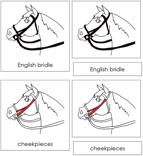 English Bridle Nomenclature Cards (red) - Montessori Print Shop