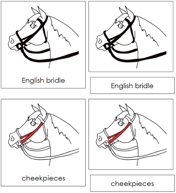 Parts of an English Bridle Nomenclature Cards (red) - Montessori Print Shop Digital Download