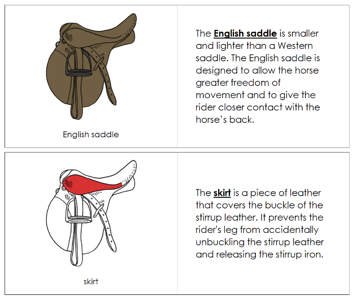 English Saddle Nomenclature Book (red) - Montessori Print Shop Digital Download