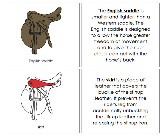 English Saddle Nomenclature Book (red) - Montessori