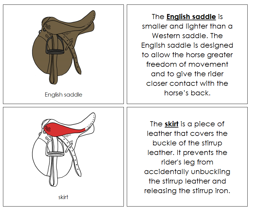 English Saddle Nomenclature Book (red) - Montessori