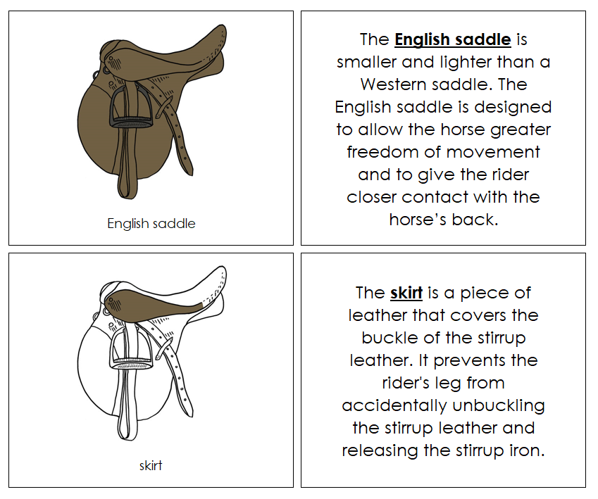 English Saddle Nomenclature Book - Montessori Print Shop Digital Download